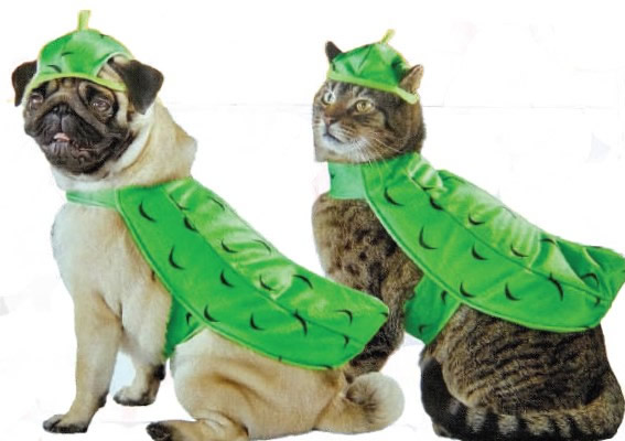 Pickle Pets